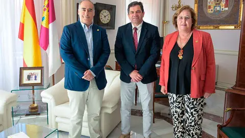 colonias-felinas