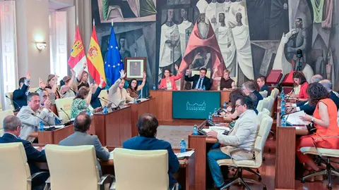 pleno-dipu
