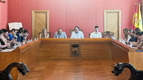 pleno-tomelloso