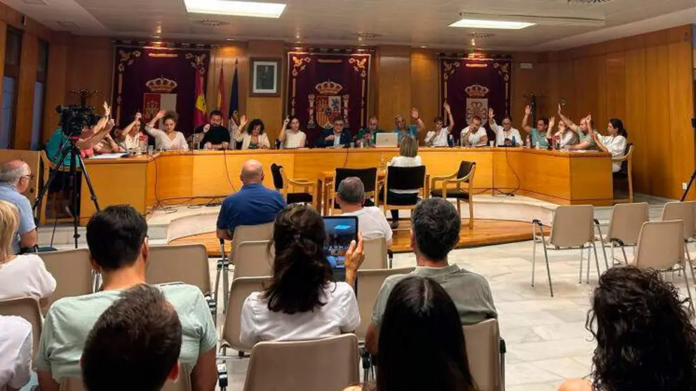 pleno-daimiel-junio