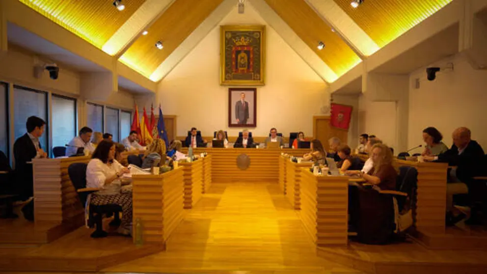 pleno-ciudad-real