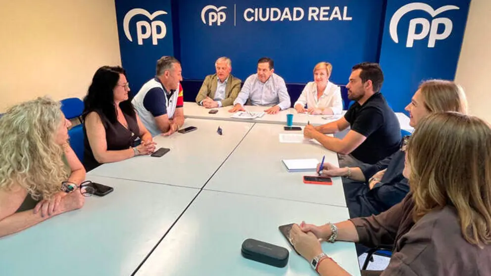 comit&eacute;-direcci&oacute;n-pp