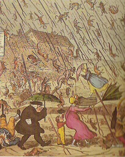 Caricatura humorística inglesa del siglo XIX, donde llueven perros y gatos. Fuente: Wikipedia