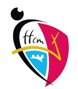 Escudo actual de la Federación Manchega de fútbol. Fuente: rfef. es