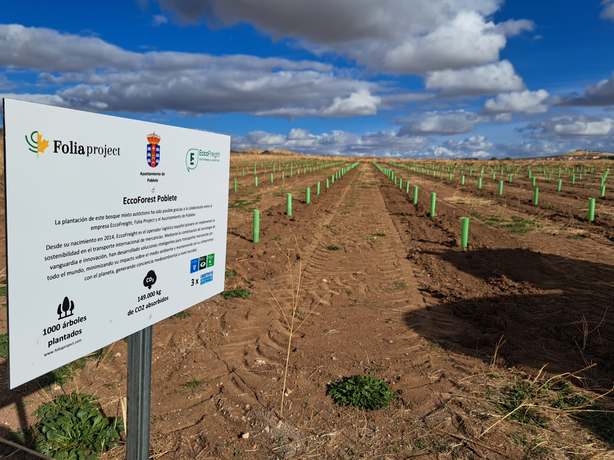POBLETE_Reforestación