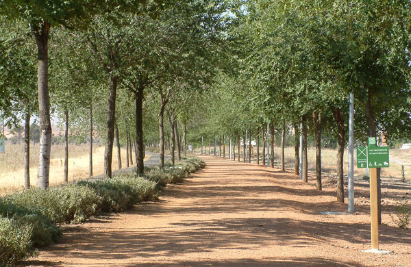 Via verde 05