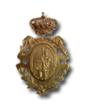Medalla de la Asociación Española de Cronistas Oficiales. Fuente: cronistasoficiales.com