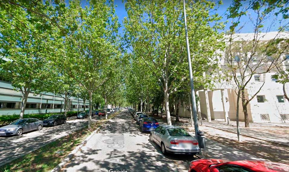Reurbanización_de_la_Avenida_Camilo_José_Cela