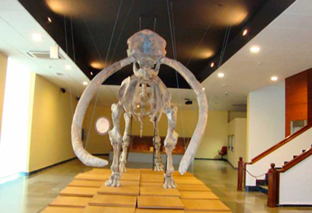 museo-provincial-de-ciudad-real---anacus-vista-frontal