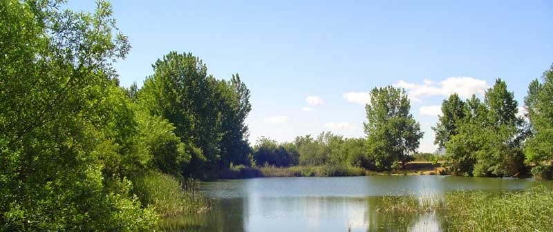 Fuente: turismociudadreal.com