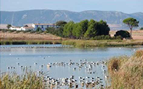 laguna4