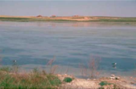 laguna4