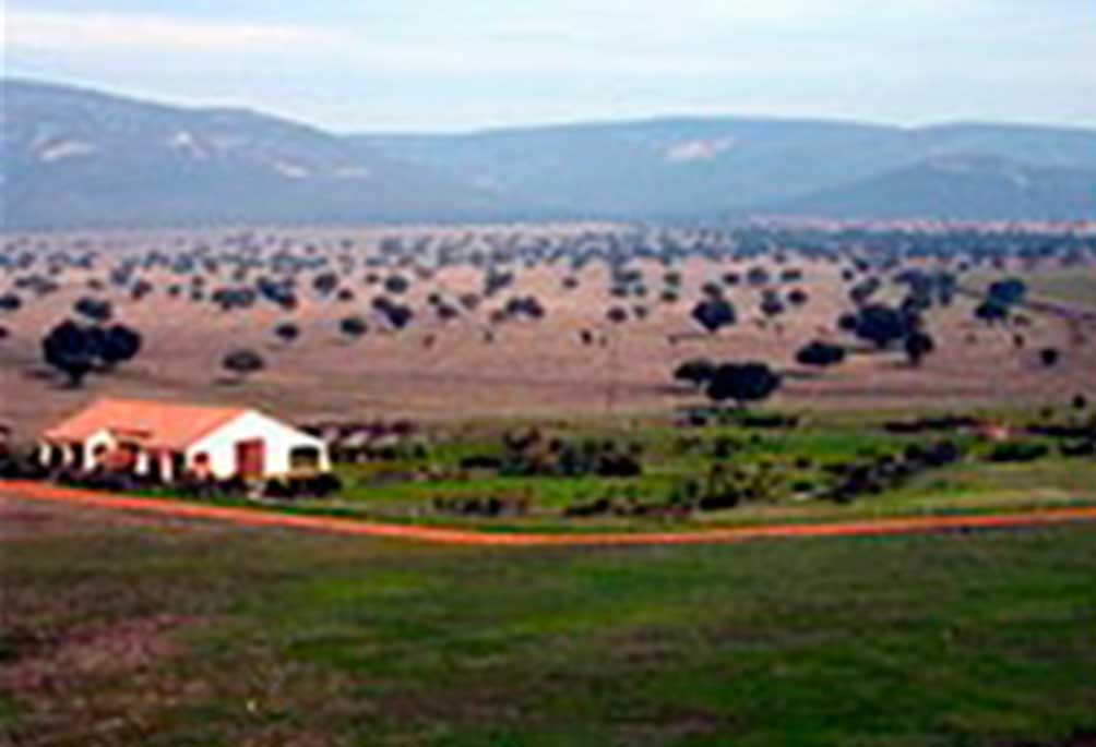 raña2