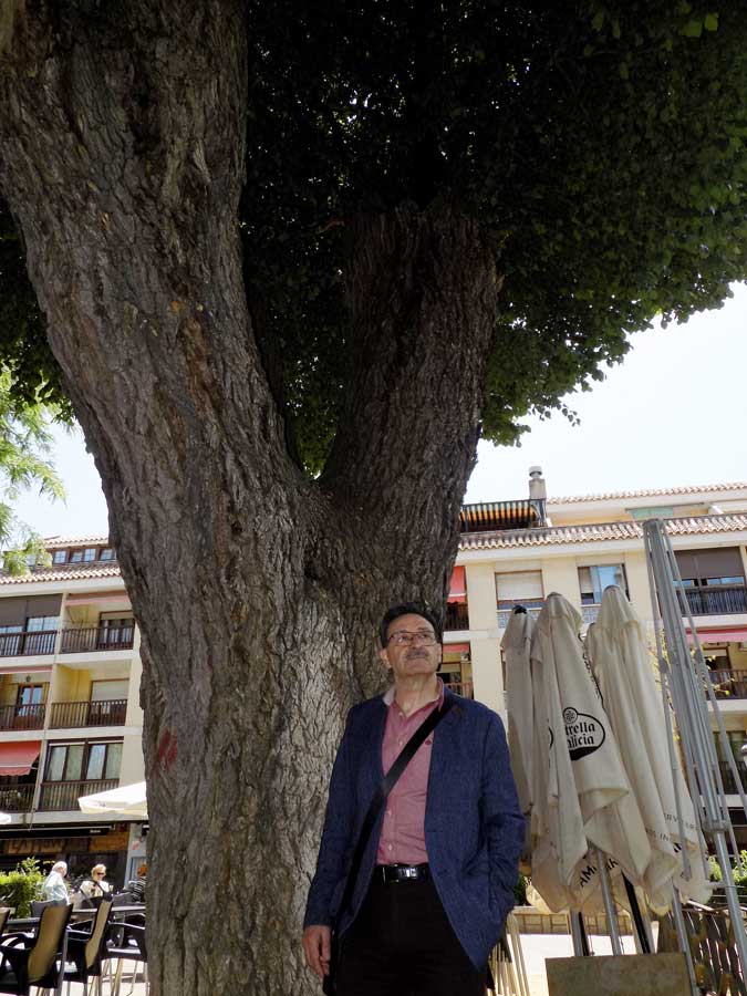 arrieta3
