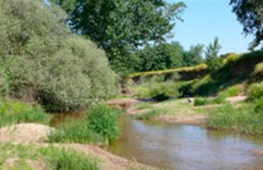 guadalmez3
