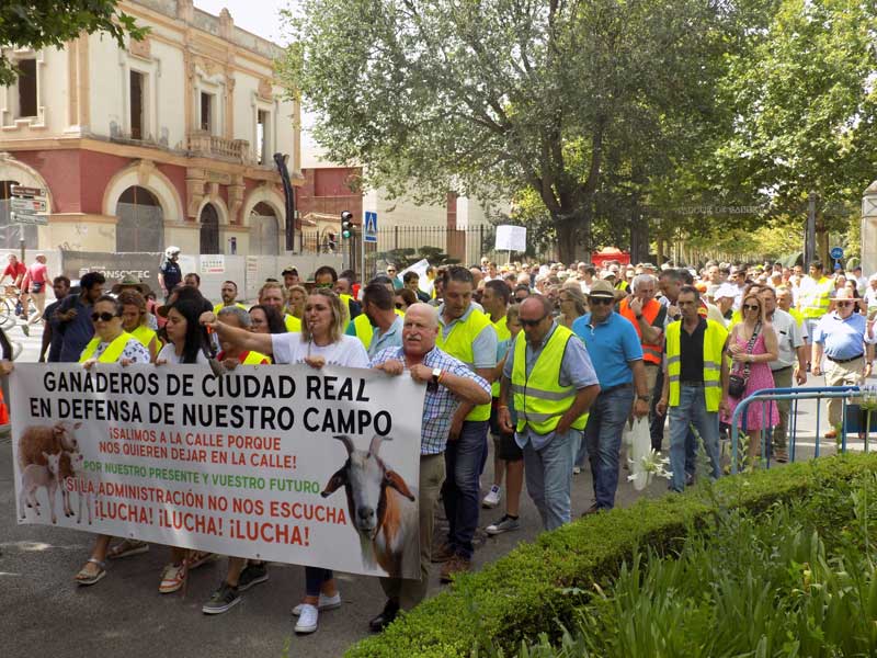 protesta-2
