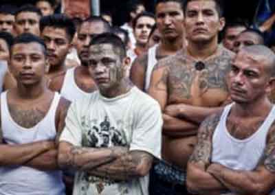 Fuente: es.insightcrime.org