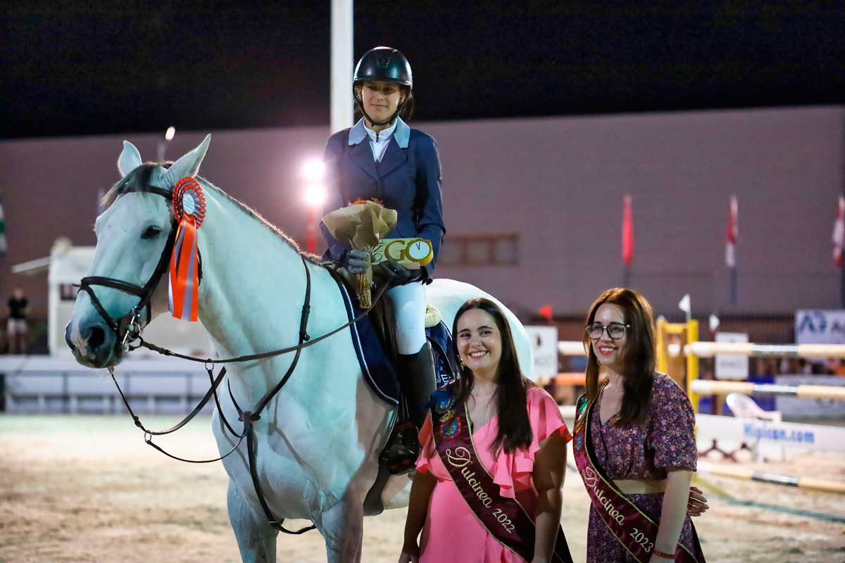 premio-dulcinea