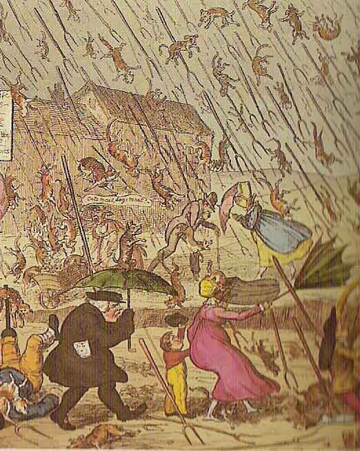 Caricatura humorística donde llueven perros y gatos. Fuente: es.wikipedia.org