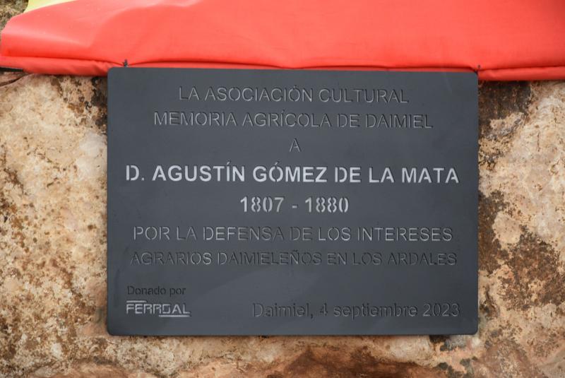 Detalle de la placa
