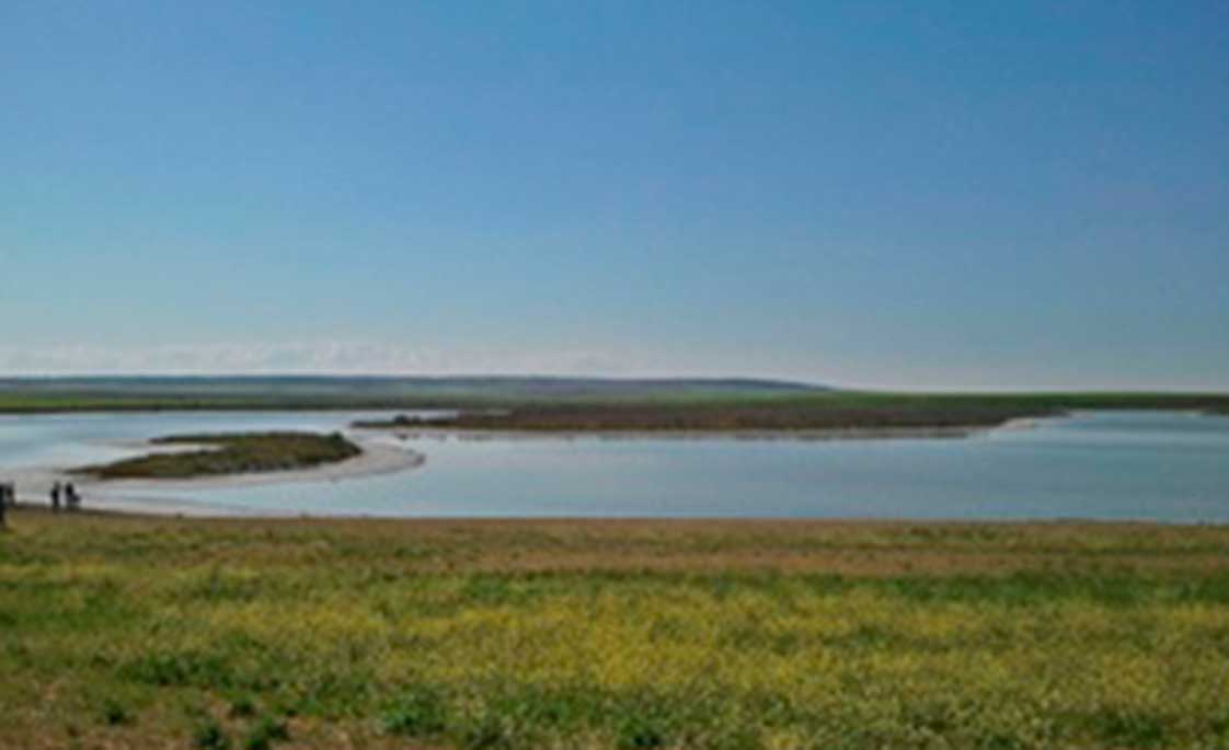 laguna-2