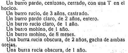 Fuente: Biblioteca Virtual de Castilla La Mancha