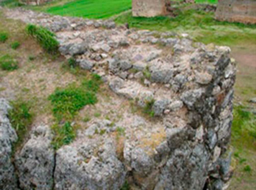 ciruela-2