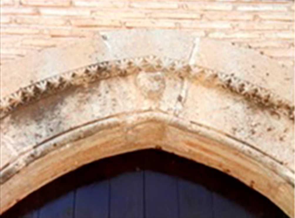 ciruela-3