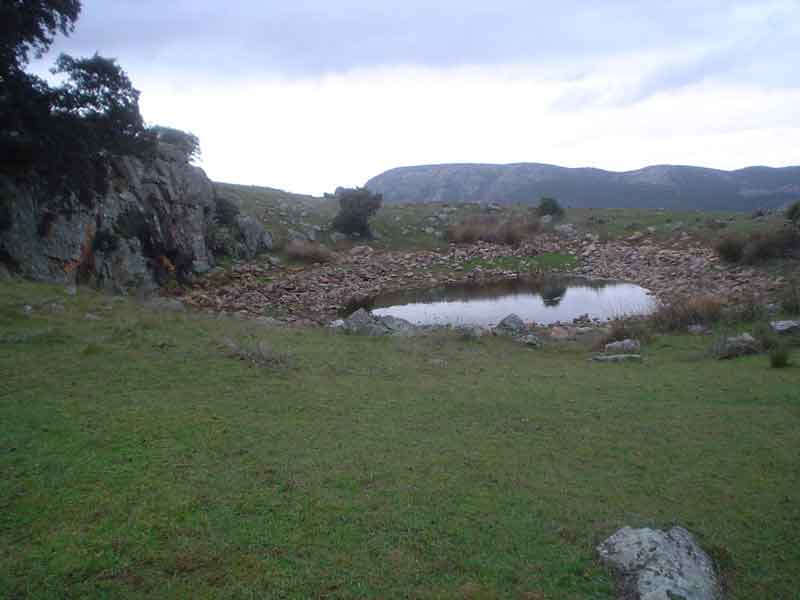 Fuente: mesabuena.blogspot.com