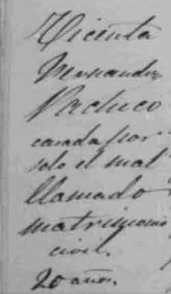 Fuente: Archivo Parroquial de Nuestra Señora de la Asunción de Manzanares. Libro de Defunciones (1878-1887), folio 210-v.