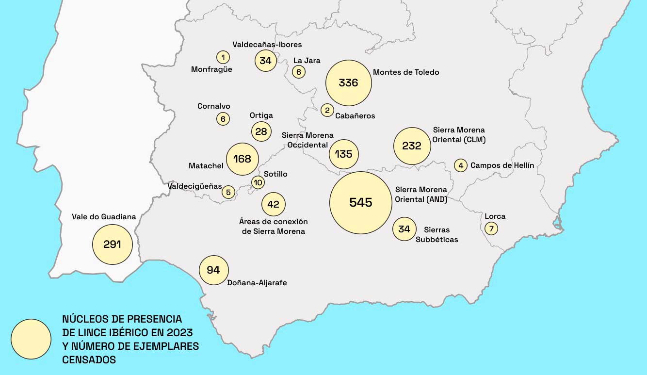 mapa-linces