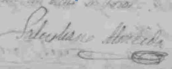 Fuente: Archivo Parroquial de Nuestra Señora de la Concepción de Herencia