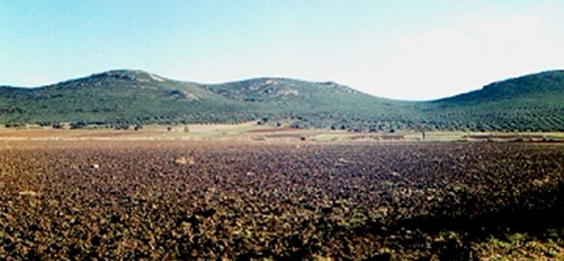 sierra-1
