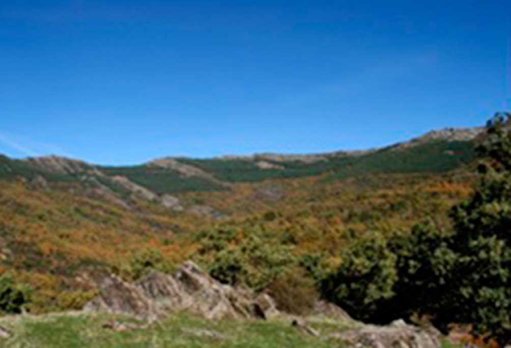 sierra-4
