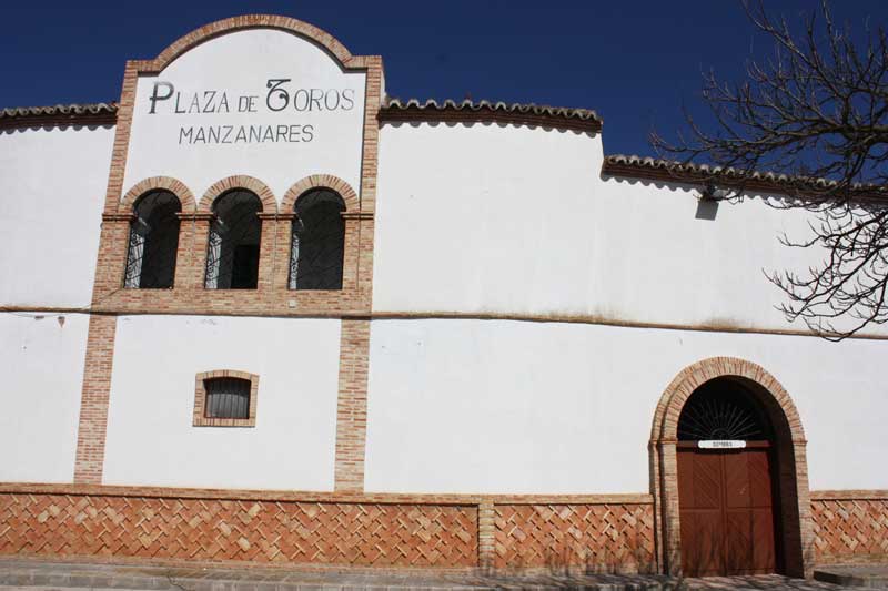 Fuente: turismomanzanares.es