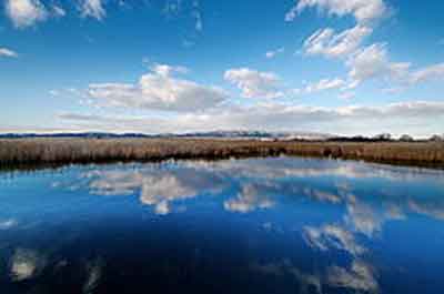 “Las Tablas de Daimiel”. Fuente: es.wikipedia.org