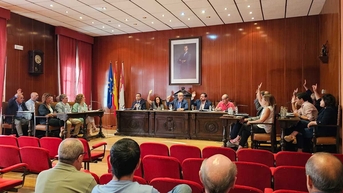 pleno-manzanares