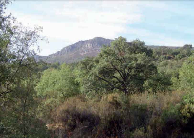 Monte Arroyo del Azor en Fuencaliente. Fuente: castillalamancha.es