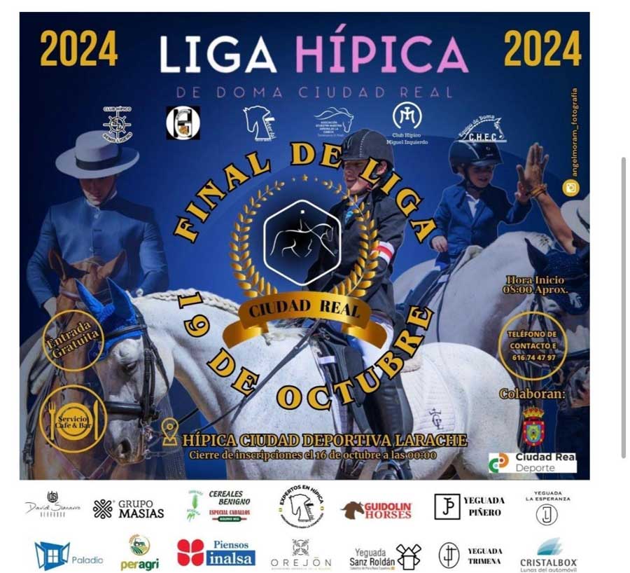 liga-doma-1