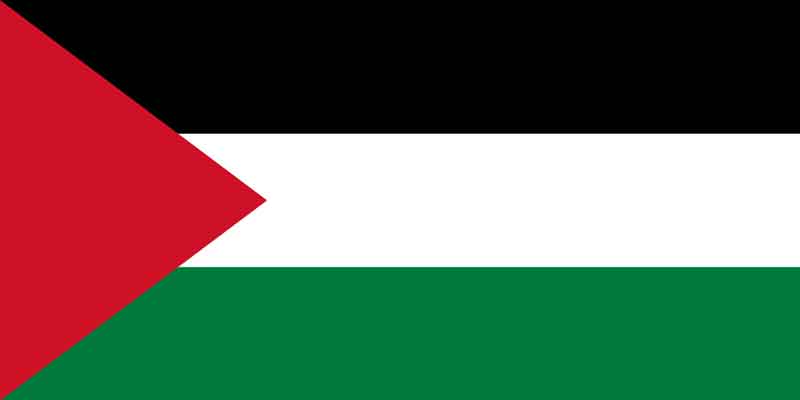 Bandera de Palestina. Fuente: es.wikipedia.org