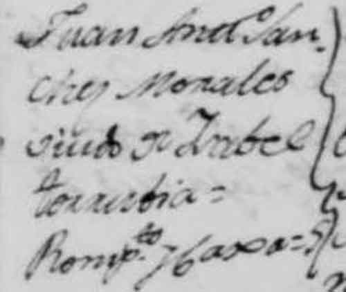 Fuente: Archivo Parroquial de Santa María de la Asunción. Libro de Defunciones (1793-1803), folio 8.