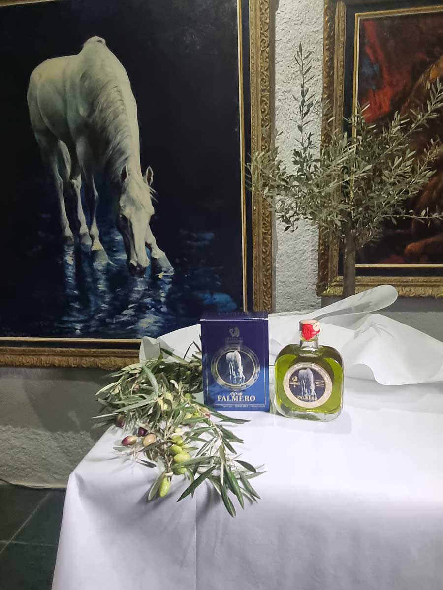 aove-palmero-2