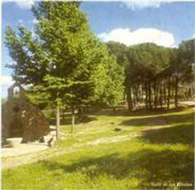 El Valle de los Perales. Fuente: verpueblos.com