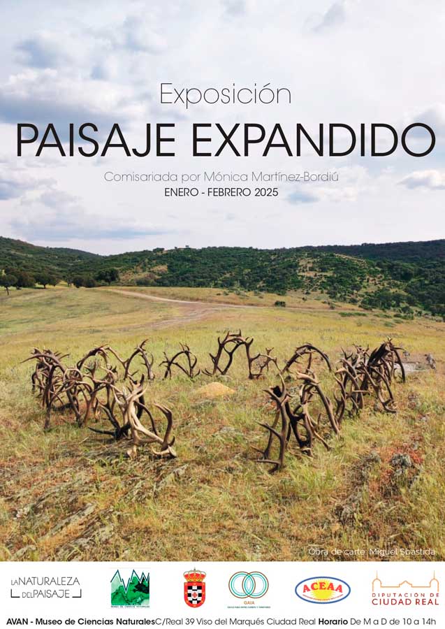 museo-avan-2
