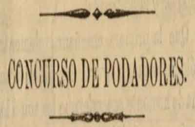 Fuente: ceclmdigital.uclm.es
