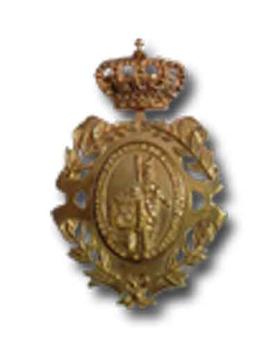 Medalla de la Asociación Española de Cronistas Oficiales. Fuente: cronistasoficiales.com