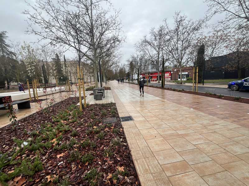 avenida-1