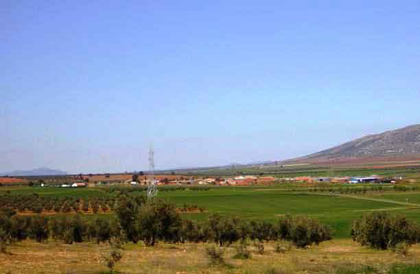 Paraje de Las Peralosas. Fuente: foro-ciudad.com