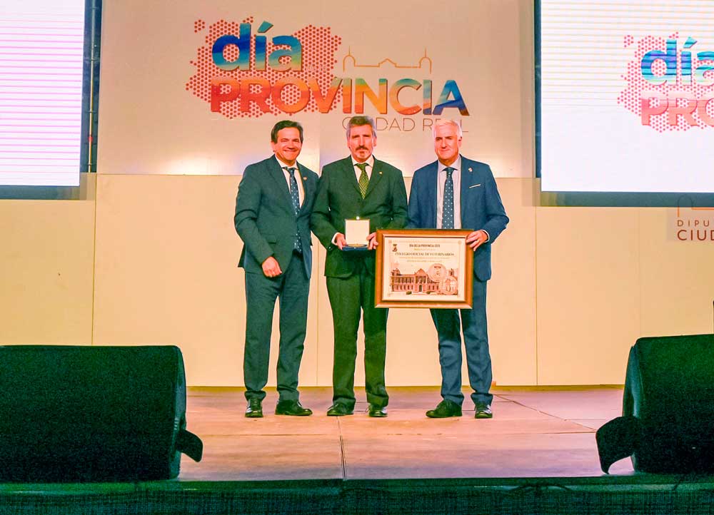 dia-provincia-10