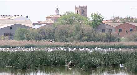 Fuente: manchanorte.org
